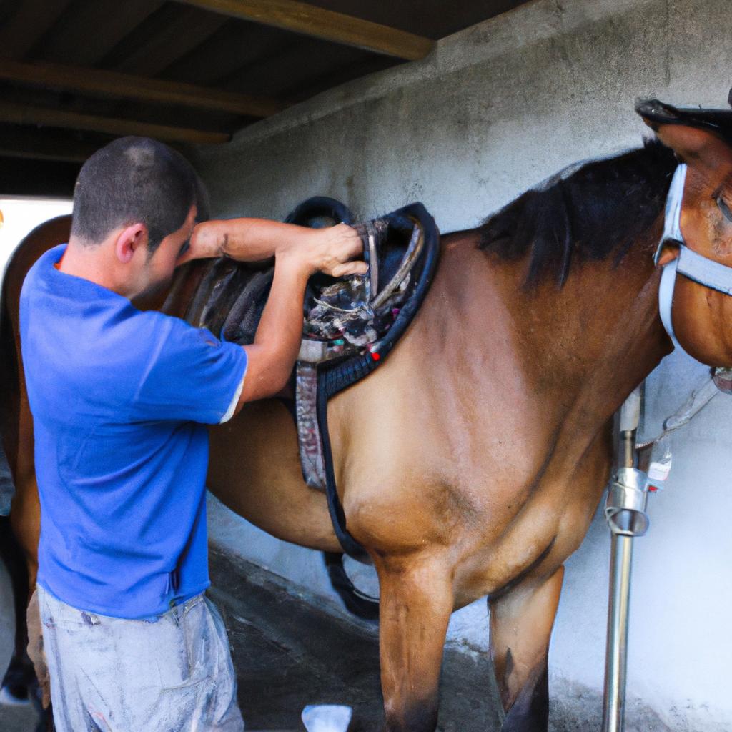 Man adjusting horse's spinal alignment