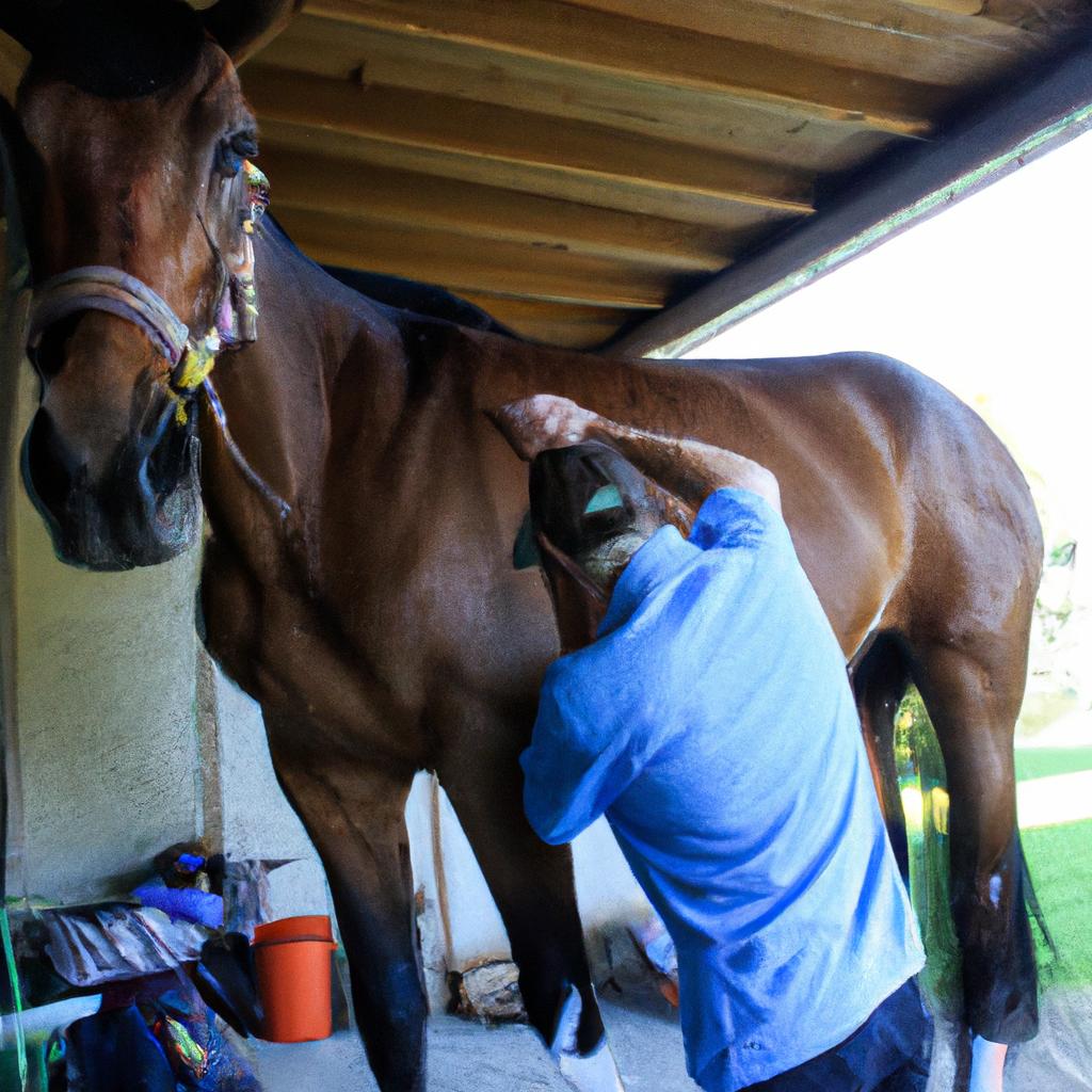 Person performing chiropractic adjustment on horse