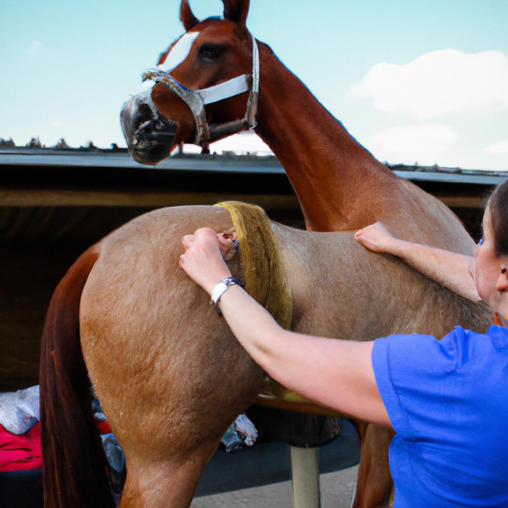 Person performing chiropractic treatment on horse