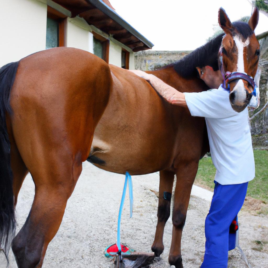 Chiropractor treating horse with tension