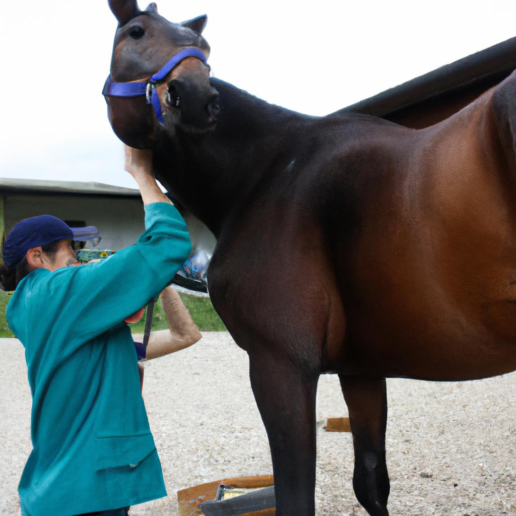 Chiropractor treating horse with caution